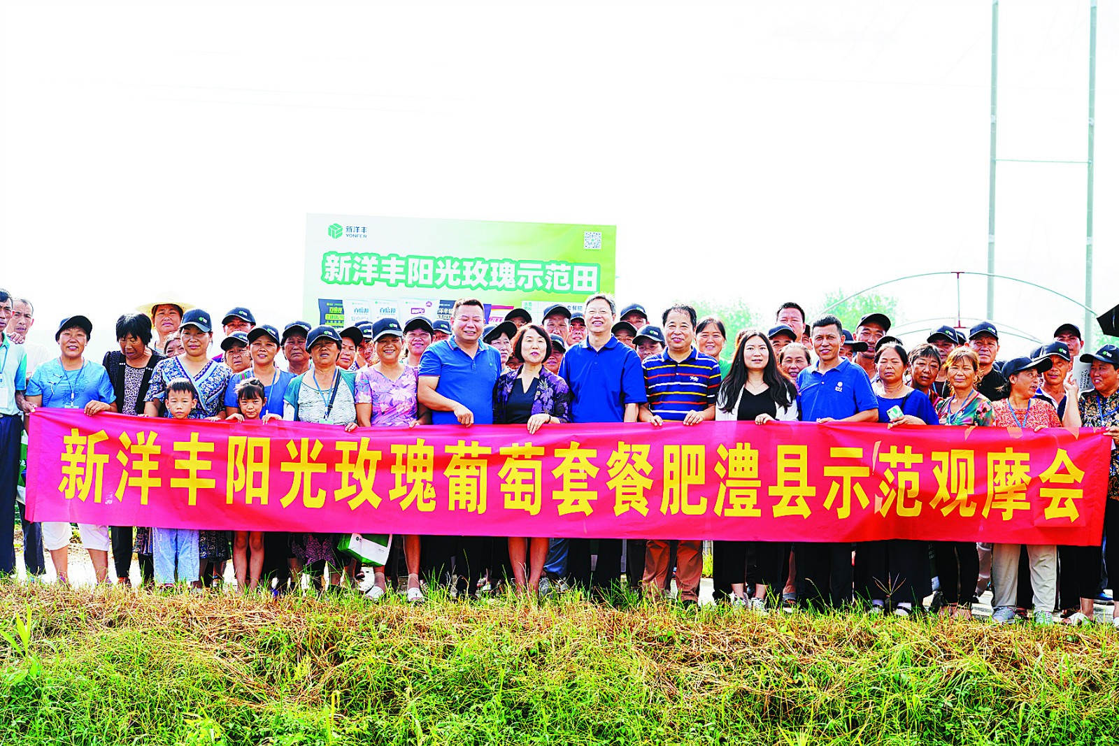 乐鱼体育阳光葡萄套餐肥澧县示范观摩_meitu_2.jpg