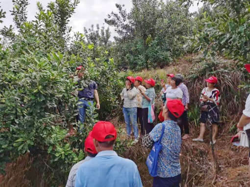 图2-2，园区观摩和果农们拍照学习_副本.jpg