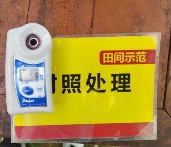 示范葡萄肩部果糖度比对照高0.6度 2.jpg