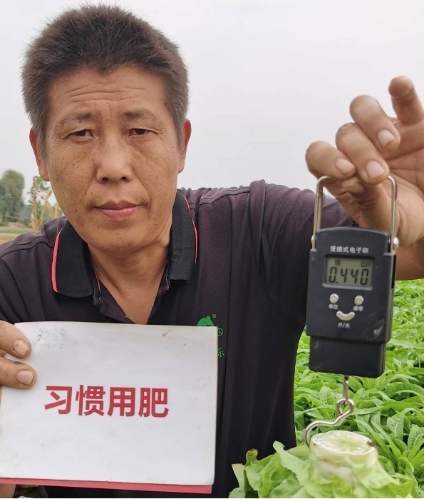 翟勇在给对照田莴笋称重.jpg